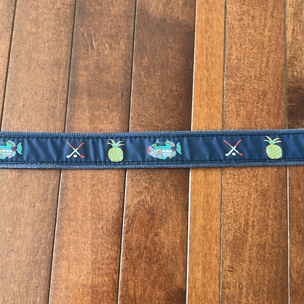 Men’s Island Casuals Blue & Brown Belt with Sports Motif Size 38 - Picture 3 of 7